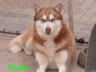 2006 0225Image0047