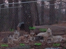 2006 0311Image0009