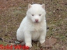 2005 1216Image0088