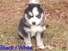2005 1216Image0092